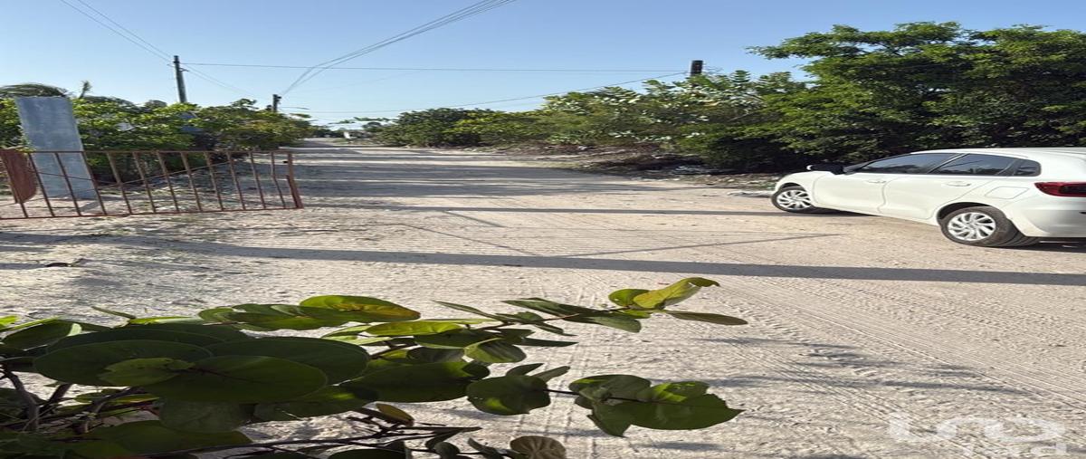 Foto de terreno habitacional en venta en 98 291, chelem, progreso, yucatán, 30408090 No. 05