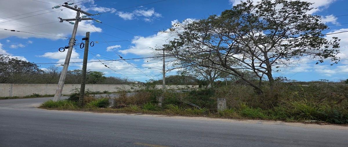 Foto de terreno habitacional en renta en 98 , paraíso, mérida, yucatán, 31093464 No. 02