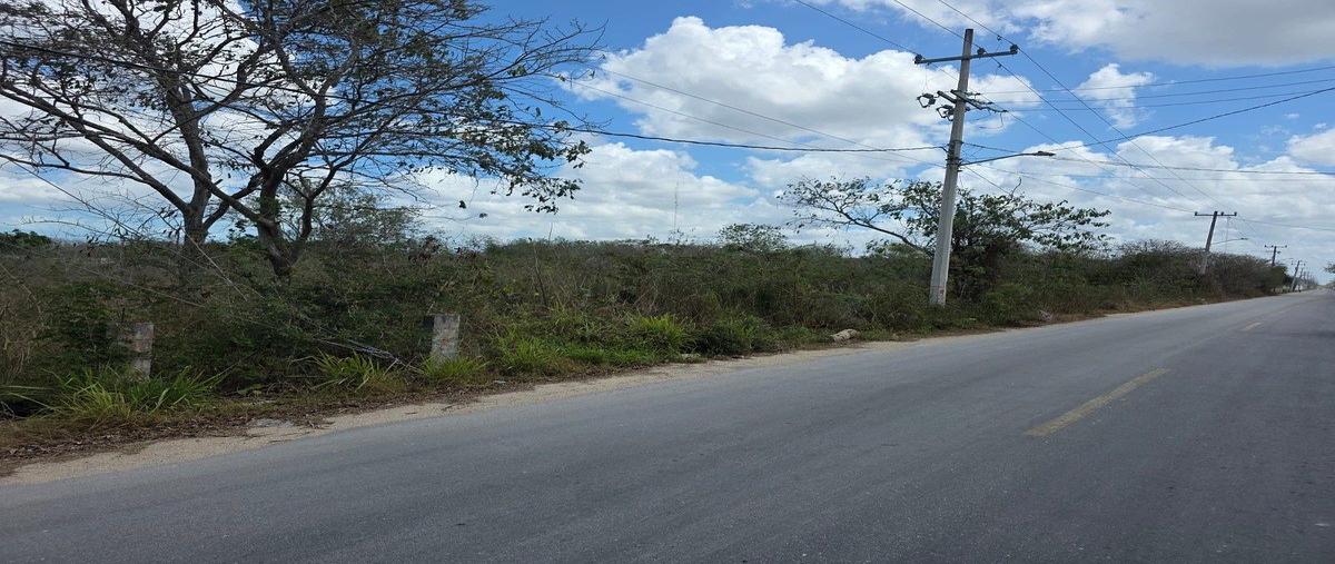 Foto de terreno habitacional en renta en 98 , paraíso, mérida, yucatán, 31093464 No. 03