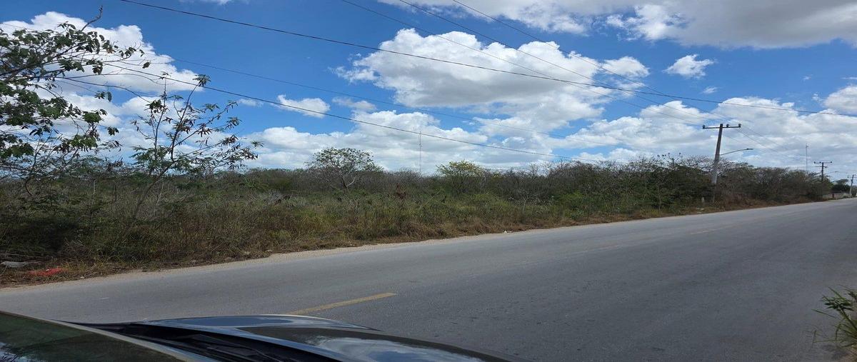 Foto de terreno habitacional en renta en 98 , paraíso, mérida, yucatán, 31093464 No. 05