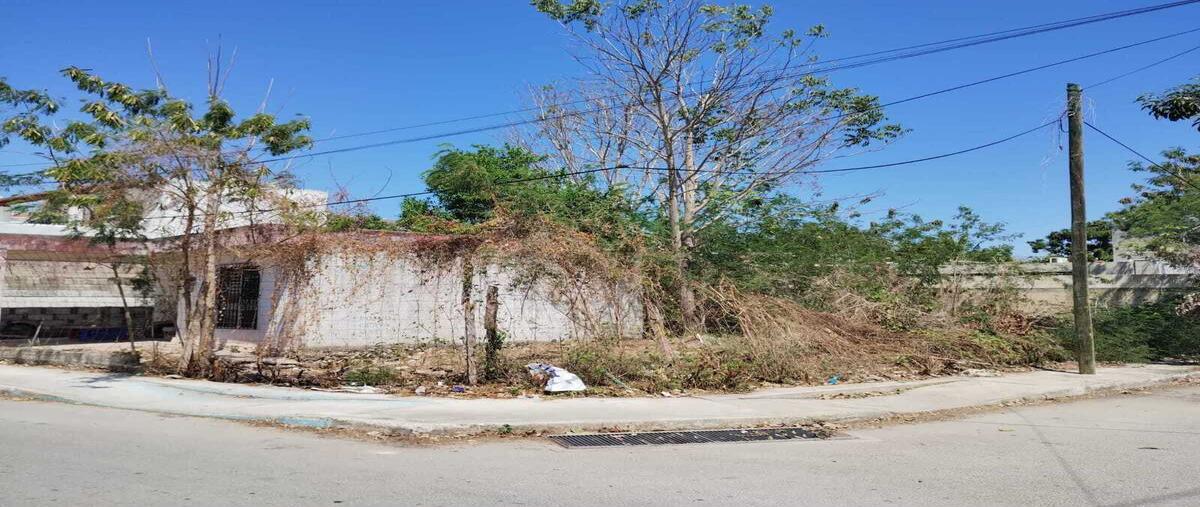 Foto de terreno comercial en renta en 9-a , privada maya, mérida, yucatán, 29461223 No. 04