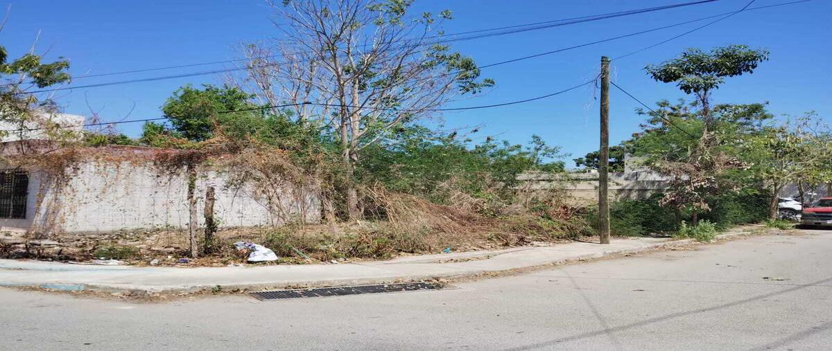 Foto de terreno comercial en renta en 9-a , privada maya, mérida, yucatán, 29461223 No. 05