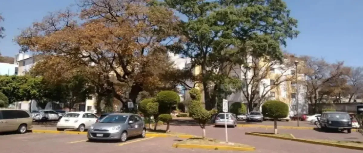 Image propiedad