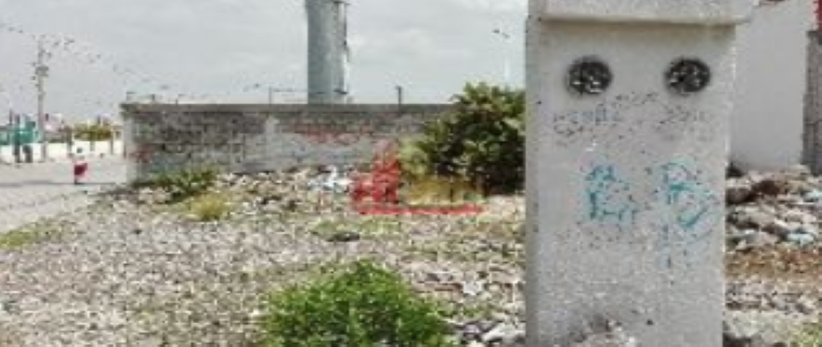 Image propiedad