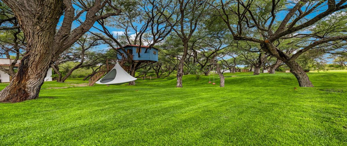 Rancho en venta, Banda Oaxaca y Rancho Nuevo, Colonia Rancho Nuevo de ...
