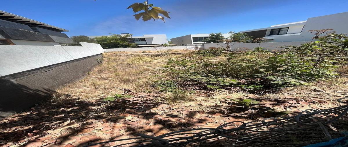 Image propiedad