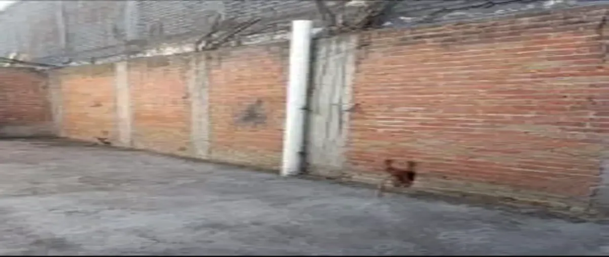 Image propiedad