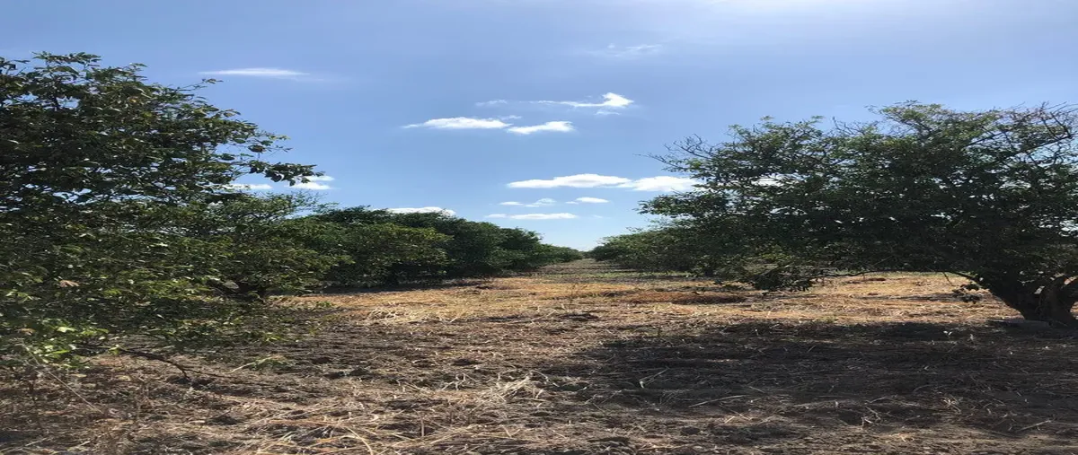 Image propiedad