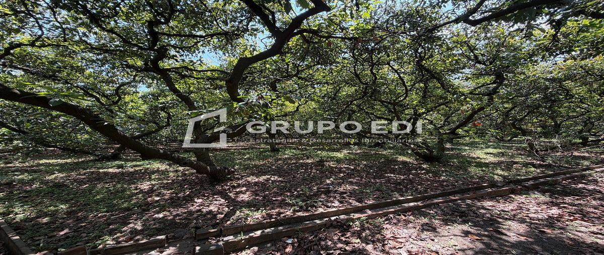Image propiedad