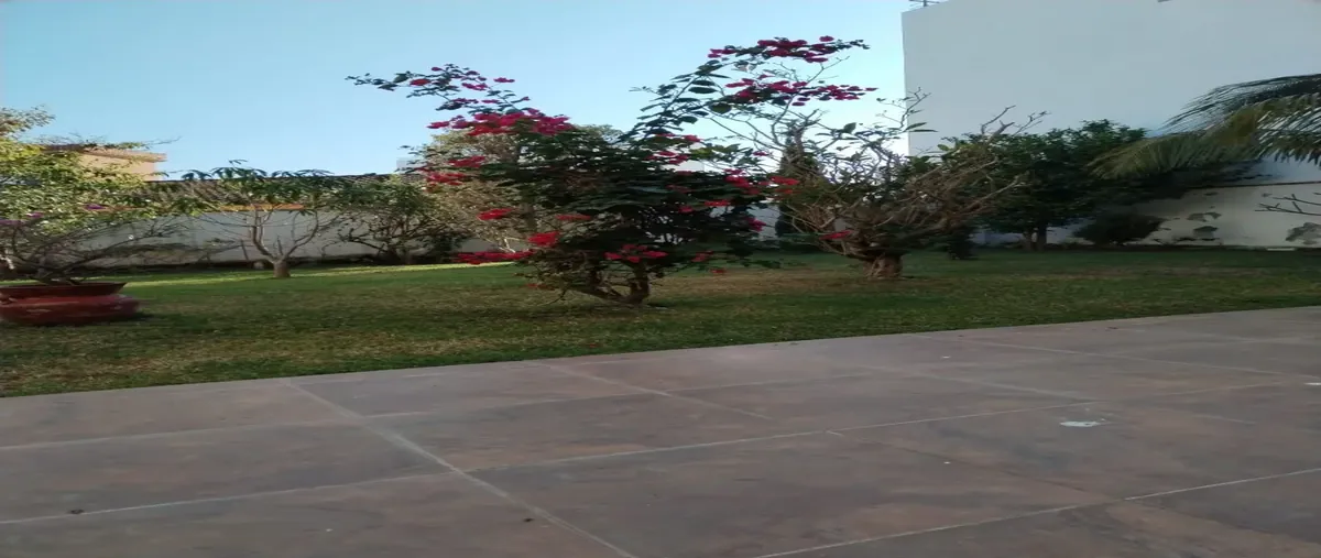 Image propiedad Image propiedad