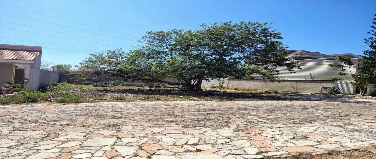 Image propiedad