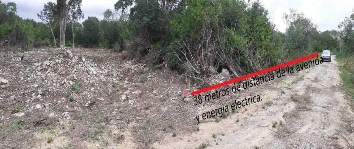 Image propiedad