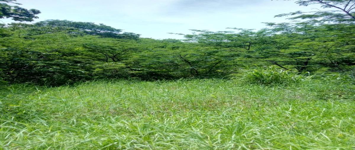 Foto de rancho en venta en a 1 kilometro de rosendo salazar , urbana, cintalapa, chiapas, 0 No. 03