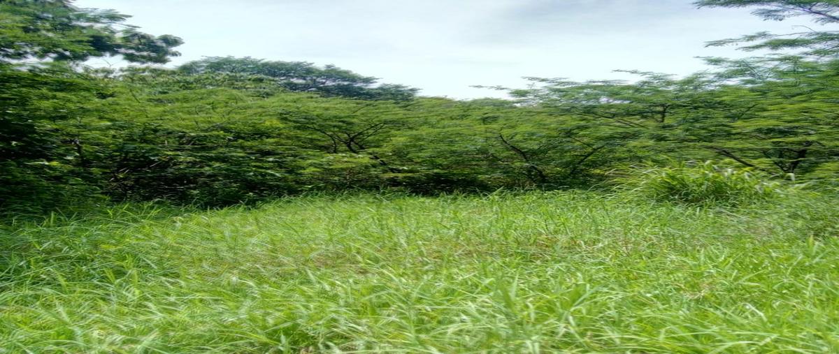 Foto de rancho en venta en a 1 kilometro de rosendo salazar , urbana, cintalapa, chiapas, 0 No. 04