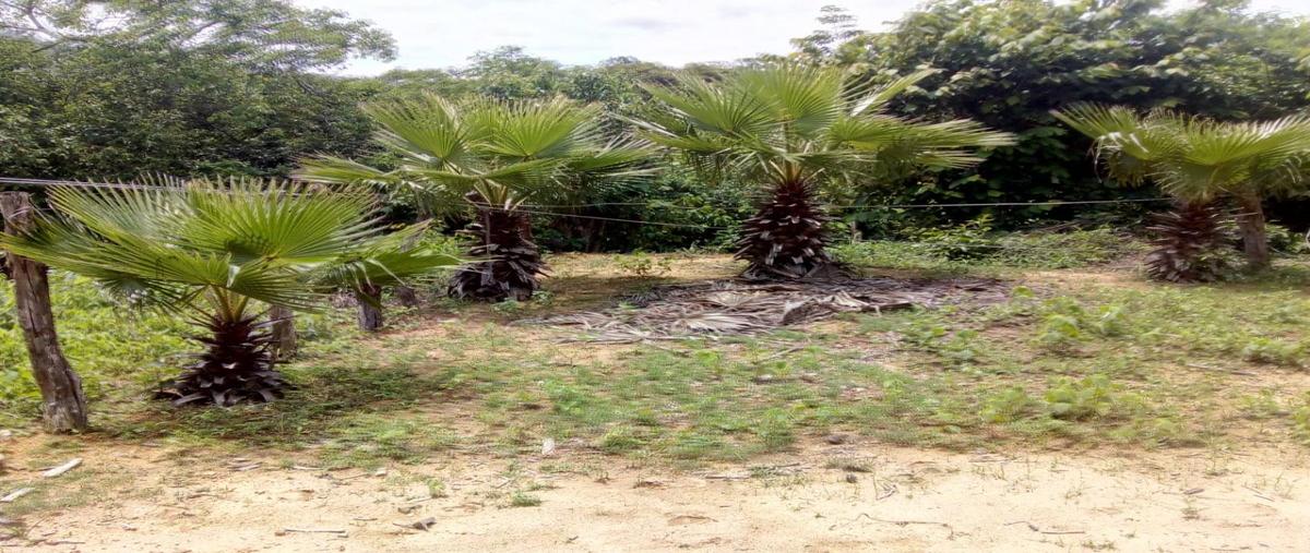 Foto de rancho en venta en a 1 kilometro de rosendo salazar , urbana, cintalapa, chiapas, 0 No. 05