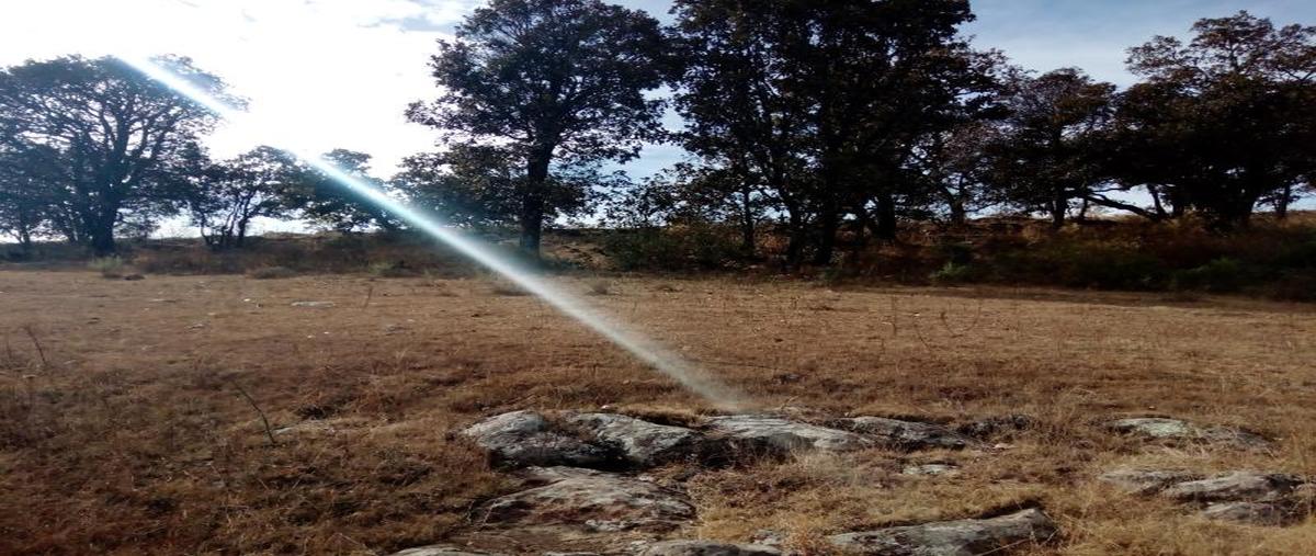 Foto de terreno habitacional en venta en a 500 mts de carretera panamericana , bimbo, aculco, méxico, 5954534 No. 01