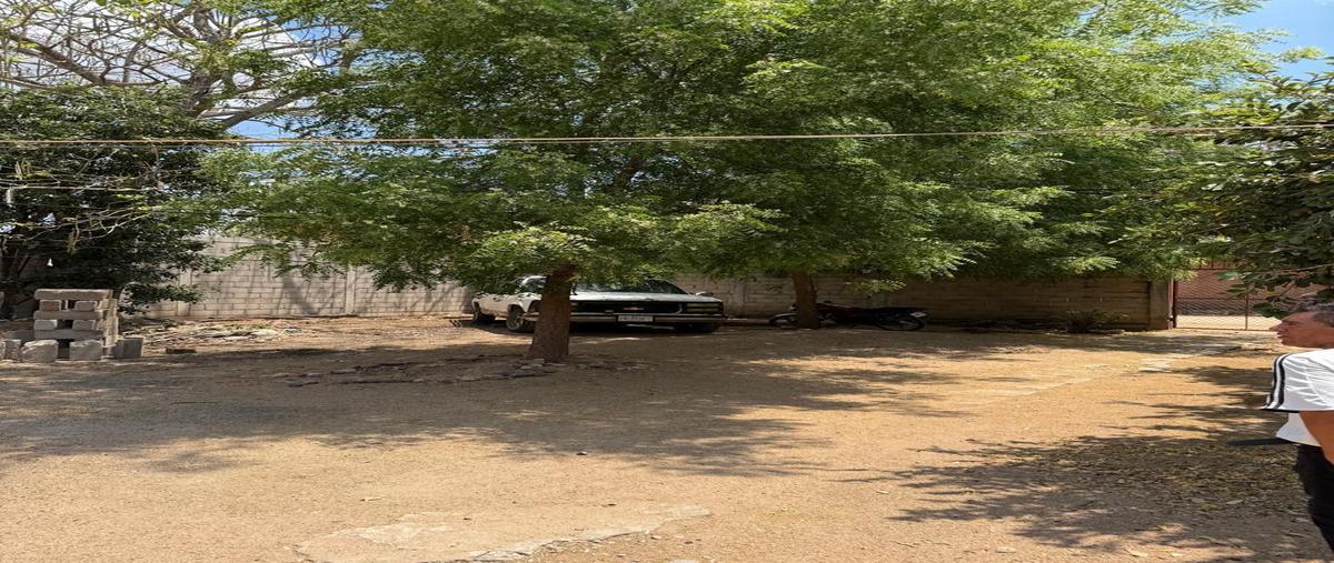 Foto de terreno habitacional en a dos cuadras del parque , jiquipilas centro, jiquipilas, chiapas, 29752218 foto 05 Foto de terreno habitacional en venta en a dos cuadras del parque , jiquipilas centro, jiquipilas, chiapas, 29752218 No. 05