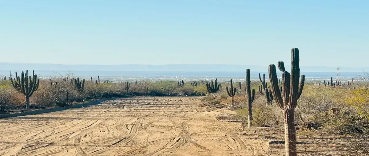 Foto de terreno habitacional en venta en a espaldas de camino real y a un costado de perla del golfo 0, el camino real, la paz, baja california sur, 0 No. 01