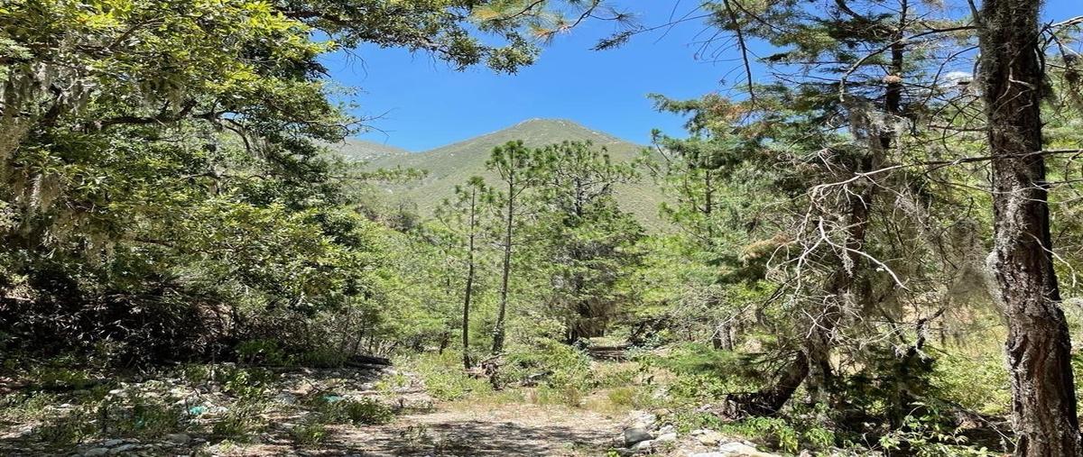 Foto de rancho en venta en a , iturbide, iturbide, nuevo león, 26600288 No. 04