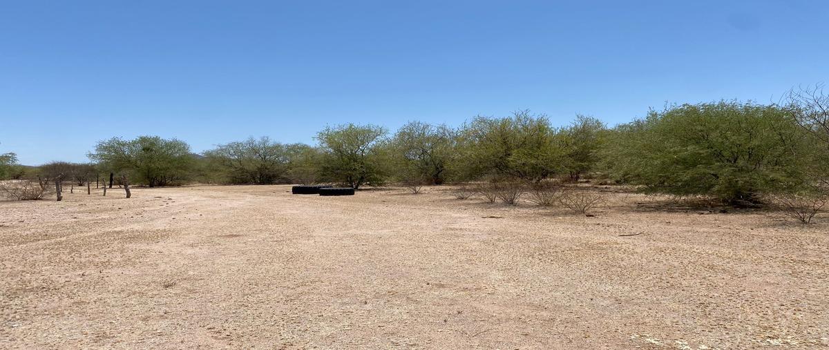 Foto de rancho en venta en a mesa del seri , mesa del seri, hermosillo, sonora, 28175006 No. 03