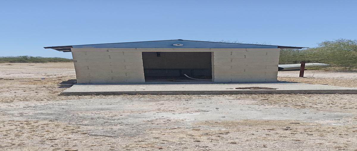 Foto de rancho en venta en a mesa del seri , mesa del seri, hermosillo, sonora, 28175006 No. 04