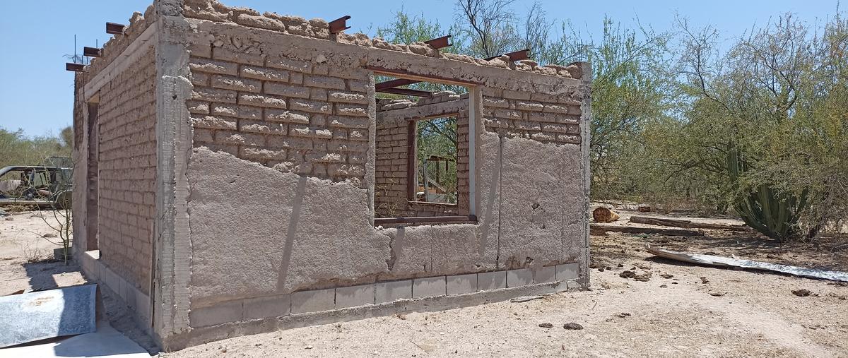 Foto de rancho en venta en a mesa del seri , mesa del seri, hermosillo, sonora, 28175006 No. 05