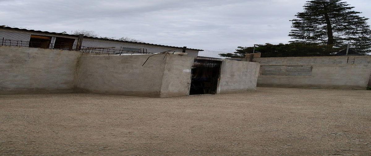 Foto de terreno habitacional en venta en a , piedras negras, ensenada, baja california, 0 No. 03