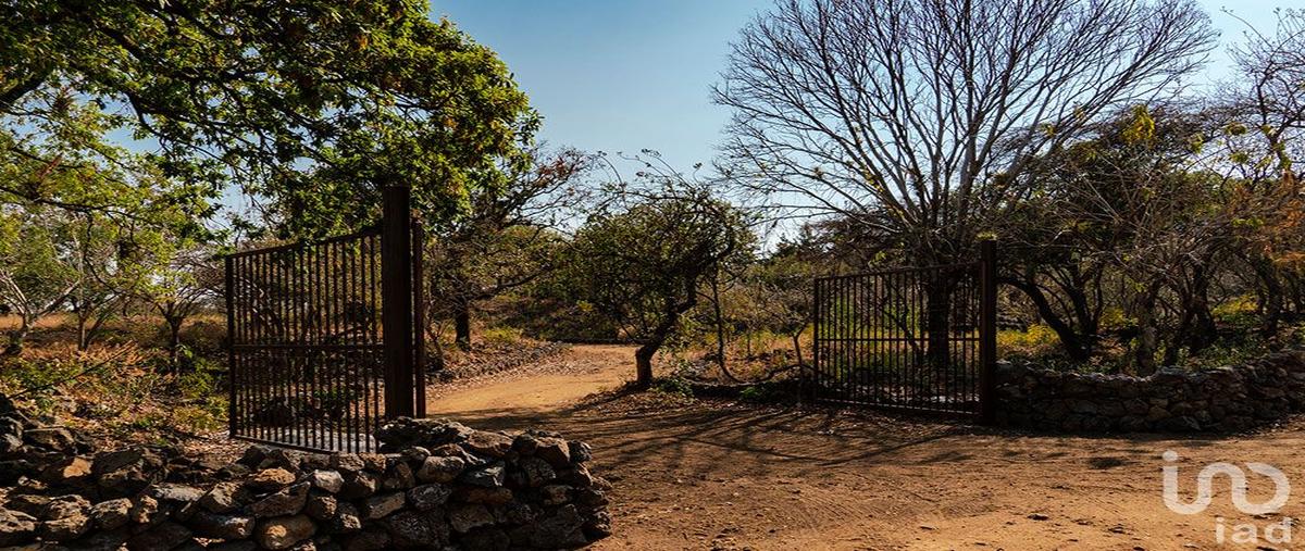Foto de terreno habitacional en venta en a un costado de la carretera tepoztlán - santo domingo ocotitlán , santo domingo ocotitlán, tepoztlán, morelos, 0 No. 03