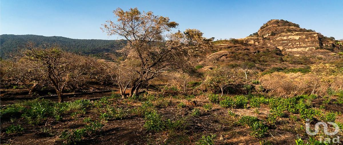 Foto de terreno habitacional en venta en a un costado de la carretera tepoztlán - santo domingo ocotitlán , santo domingo ocotitlán, tepoztlán, morelos, 0 No. 04