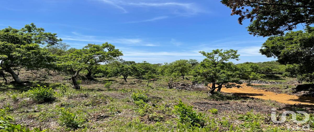 Foto de terreno habitacional en venta en a un costado de la carretera tepoztlán - santo domingo ocotitlán , santo domingo ocotitlán, tepoztlán, morelos, 0 No. 05