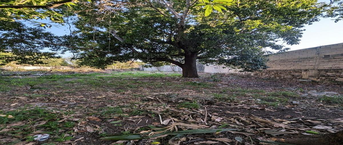 Foto de terreno habitacional en venta en a una cuadra ditzaes , merida centro, mérida, yucatán, 0 No. 04