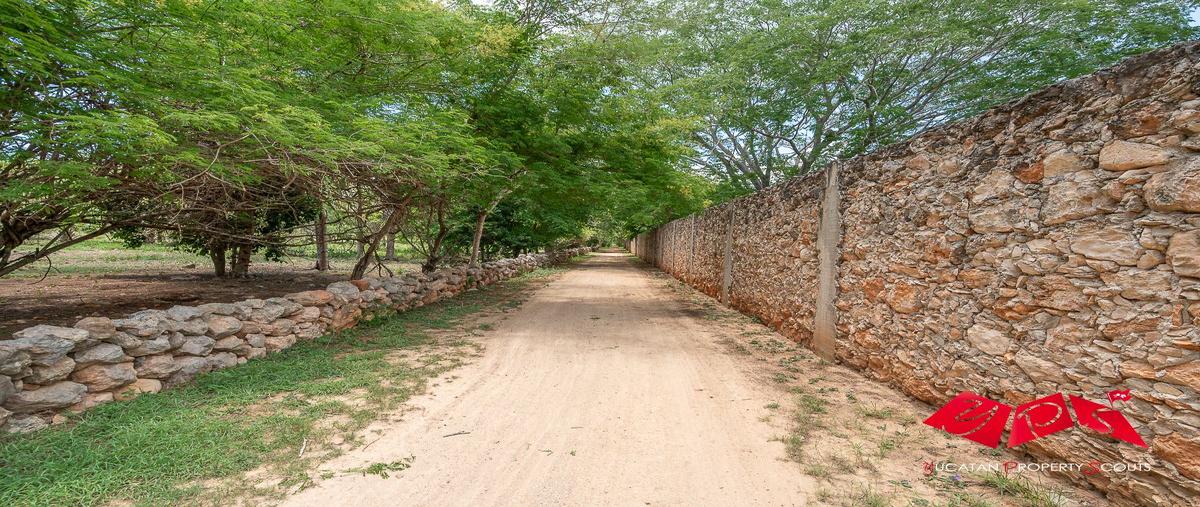 Foto de rancho en venta en a vicente guerrero , maxcanu, maxcanú, yucatán, 0 No. 03