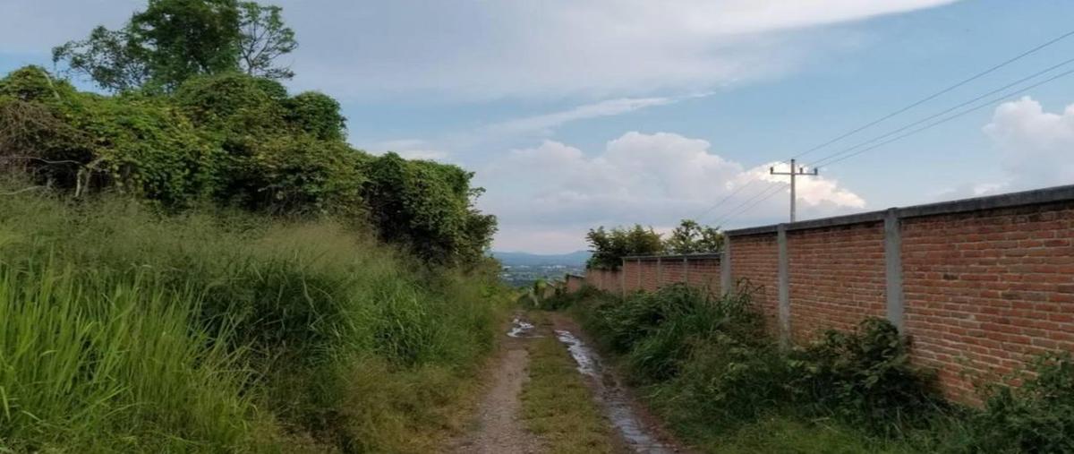 Foto de terreno habitacional en a zapotlanejo , el molino, tonalá, jalisco, 0 foto 03 Foto de terreno habitacional en venta en a zapotlanejo , el molino, tonalá, jalisco, 0 No. 03