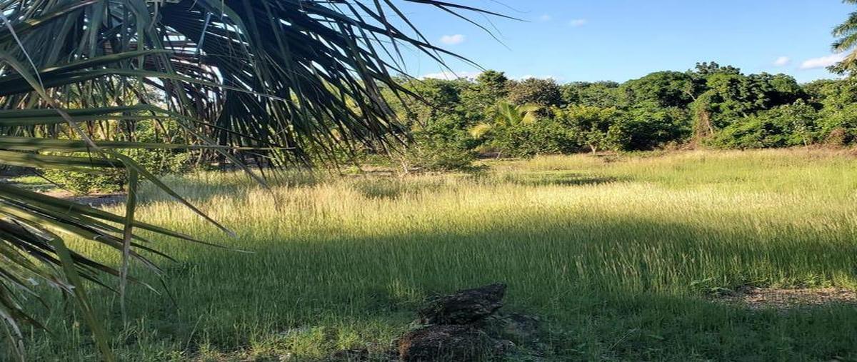 Foto de terreno habitacional en venta en  , aarón merino, bacalar, quintana roo, 0 No. 03