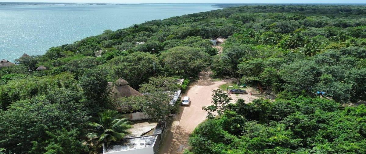 Foto de terreno habitacional en , aarón merino, bacalar, quintana roo, 0 foto 03 Foto de terreno habitacional en venta en , aarón merino, bacalar, quintana roo, 0 No. 03