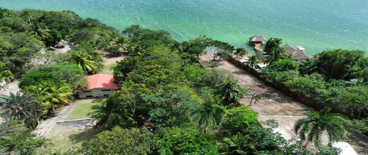 Foto de terreno habitacional en , aarón merino, bacalar, quintana roo, 0 foto 05 Foto de terreno habitacional en venta en , aarón merino, bacalar, quintana roo, 0 No. 05