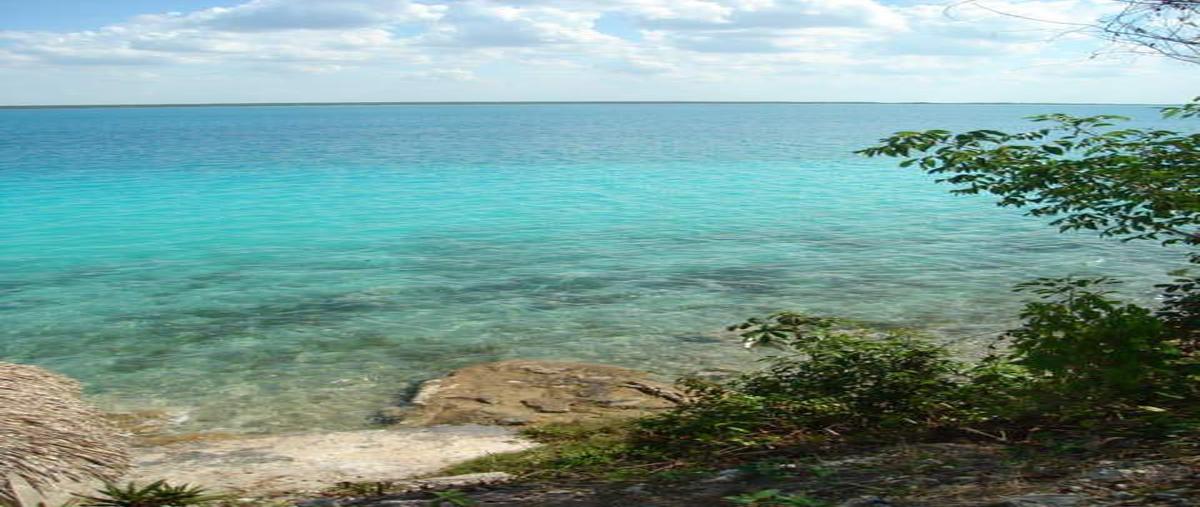Foto de terreno habitacional en , aarón merino, bacalar, quintana roo, 0 foto 02 Foto de terreno habitacional en venta en , aarón merino, bacalar, quintana roo, 0 No. 02