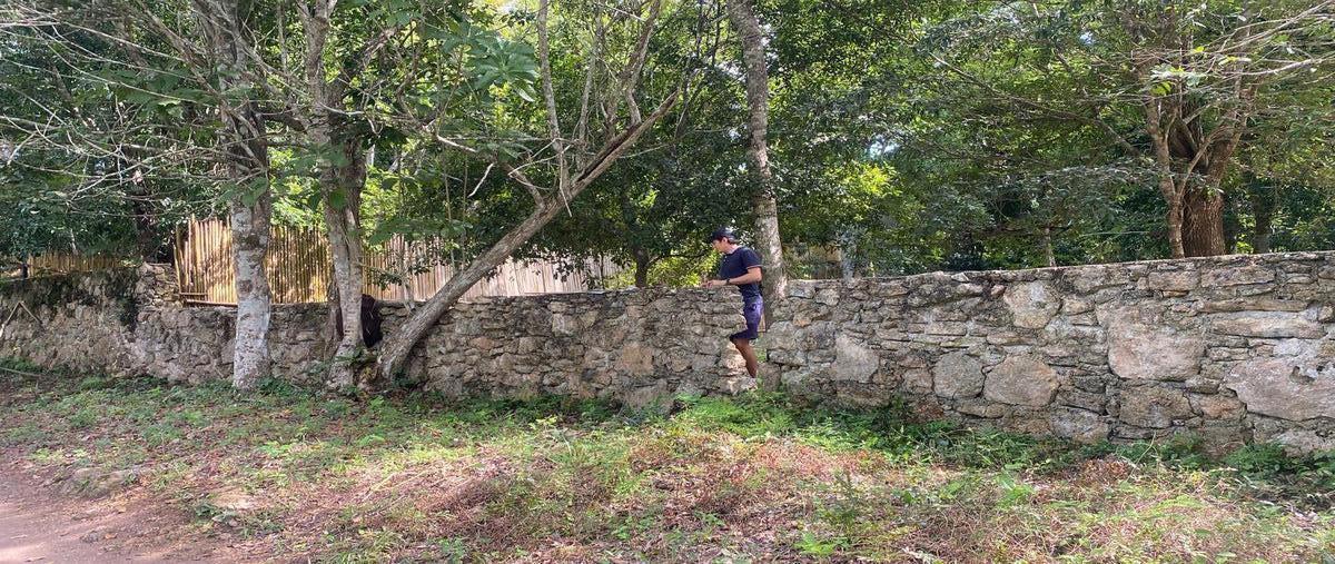Foto de terreno habitacional en , aarón merino, bacalar, quintana roo, 0 foto 04 Foto de terreno habitacional en venta en , aarón merino, bacalar, quintana roo, 0 No. 04