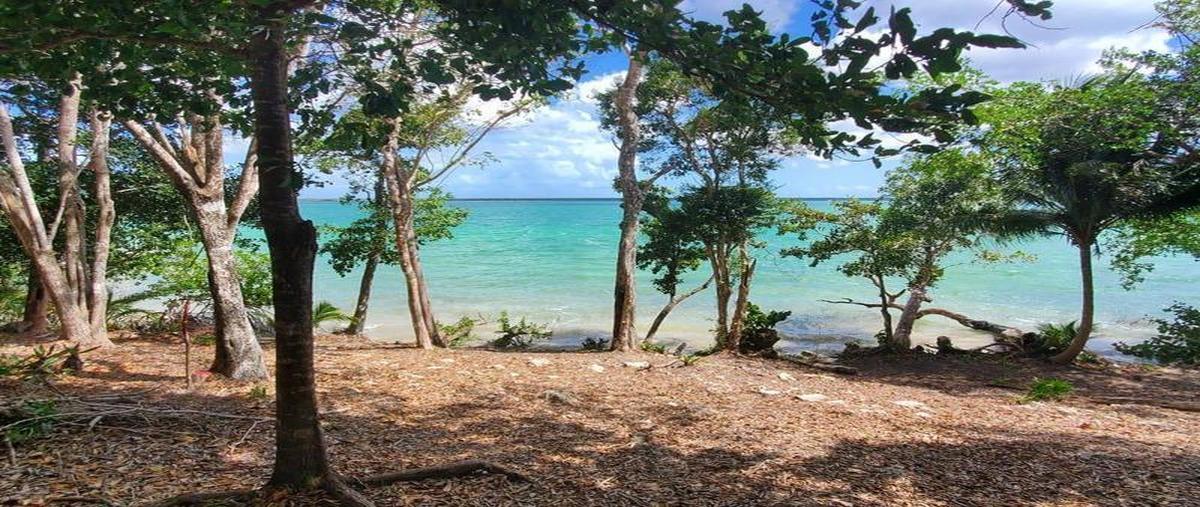 Foto de terreno habitacional en , aarón merino, bacalar, quintana roo, 0 foto 01 Foto de terreno habitacional en venta en , aarón merino, bacalar, quintana roo, 0 No. 01