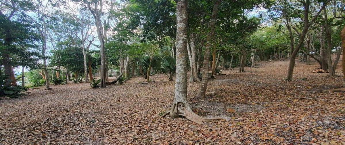 Foto de terreno habitacional en , aarón merino, bacalar, quintana roo, 0 foto 04 Foto de terreno habitacional en venta en , aarón merino, bacalar, quintana roo, 0 No. 04
