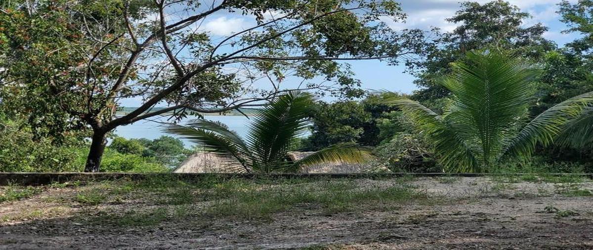 Foto de terreno habitacional en , aarón merino, bacalar, quintana roo, 0 foto 02 Foto de terreno habitacional en venta en , aarón merino, bacalar, quintana roo, 0 No. 02