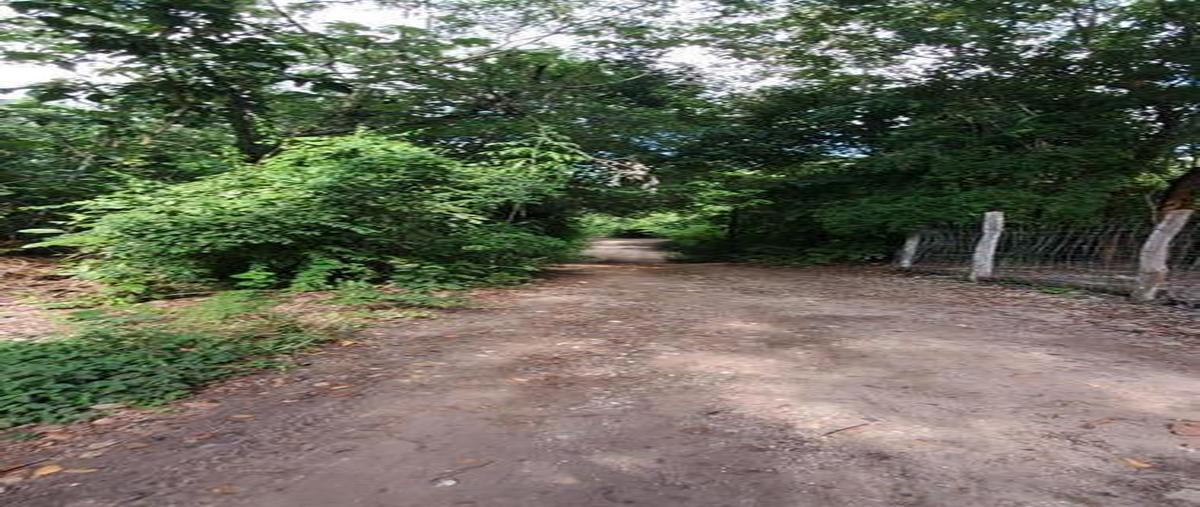 Foto de terreno habitacional en , aarón merino, bacalar, quintana roo, 0 foto 03 Foto de terreno habitacional en venta en , aarón merino, bacalar, quintana roo, 0 No. 03