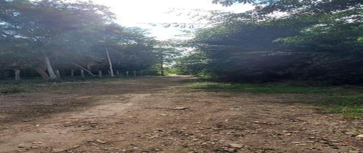 Foto de terreno habitacional en , aarón merino, bacalar, quintana roo, 0 foto 04 Foto de terreno habitacional en venta en , aarón merino, bacalar, quintana roo, 0 No. 04