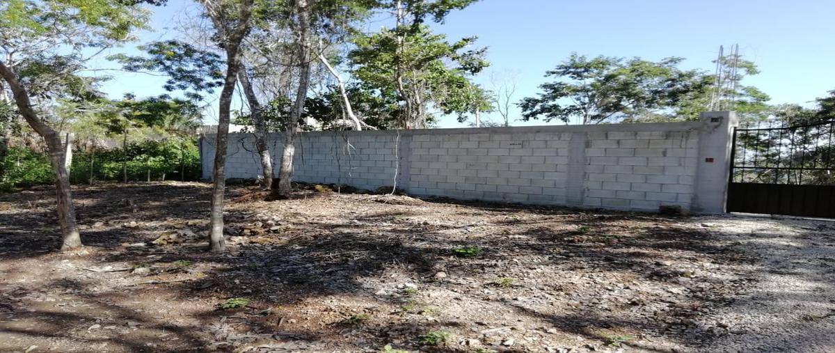 Foto de terreno habitacional en , aarón merino, bacalar, quintana roo, 0 foto 04 Foto de terreno habitacional en venta en , aarón merino, bacalar, quintana roo, 0 No. 04