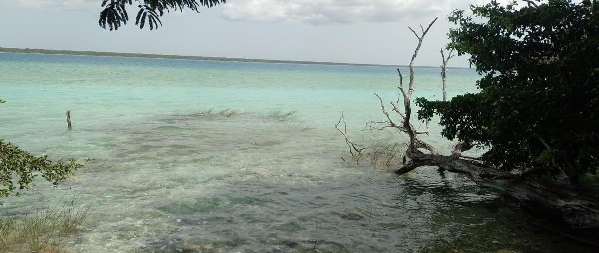 Foto de terreno habitacional en , aarón merino, bacalar, quintana roo, 0 foto 03 Foto de terreno habitacional en venta en , aarón merino, bacalar, quintana roo, 0 No. 03