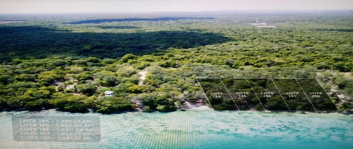 Foto de terreno habitacional en , aarón merino, bacalar, quintana roo, 0 foto 01 Foto de terreno habitacional en venta en , aarón merino, bacalar, quintana roo, 0 No. 01