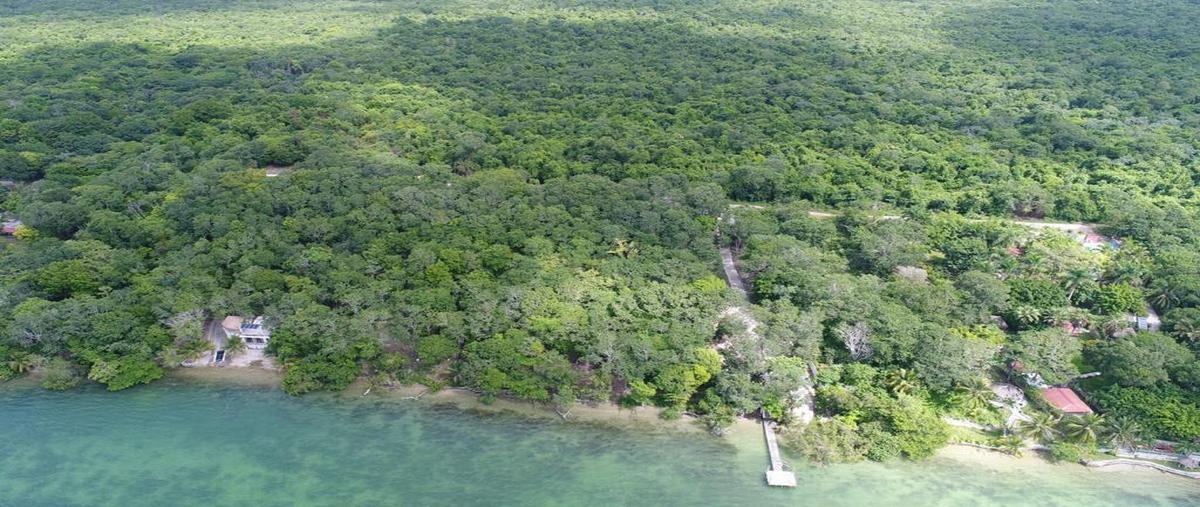 Foto de terreno habitacional en , aarón merino, bacalar, quintana roo, 0 foto 05 Foto de terreno habitacional en venta en , aarón merino, bacalar, quintana roo, 0 No. 05