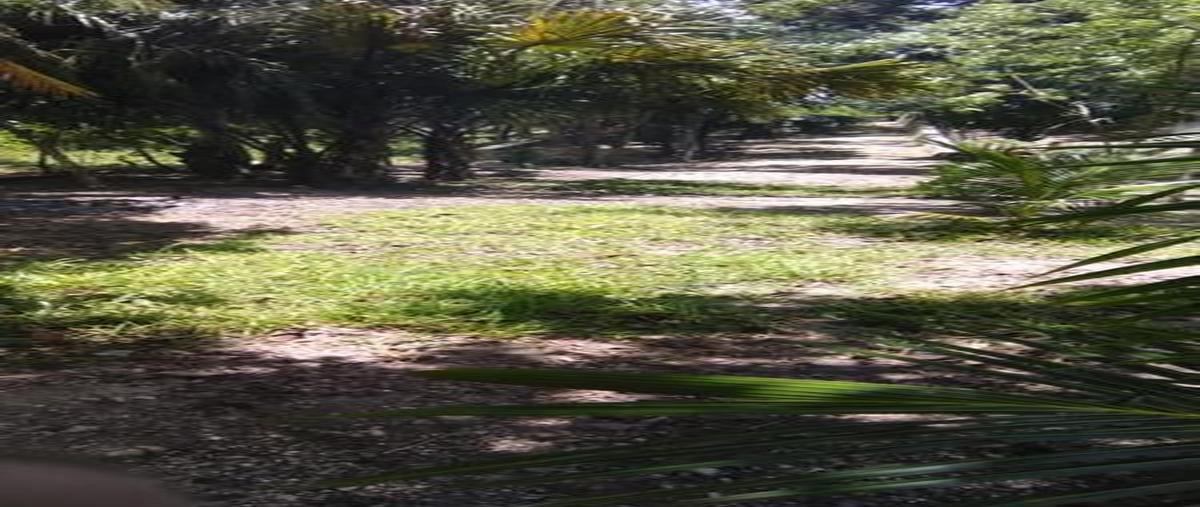 Foto de terreno habitacional en venta en  , aarón merino, bacalar, quintana roo, 0 No. 03