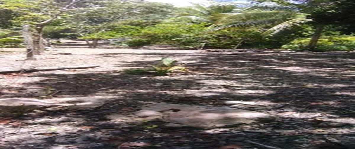 Foto de terreno habitacional en venta en  , aarón merino, bacalar, quintana roo, 0 No. 04