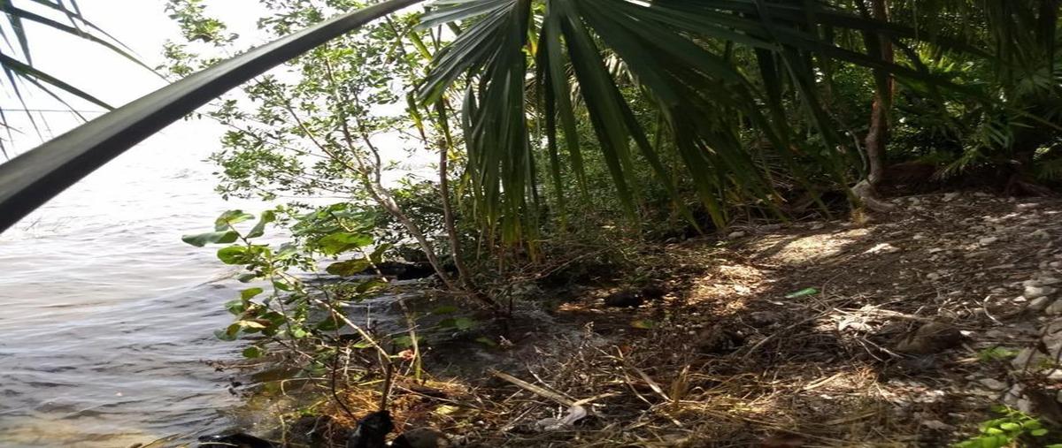 Foto de terreno habitacional en venta en  , aarón merino, bacalar, quintana roo, 0 No. 03